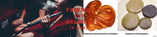 дмт Богородск