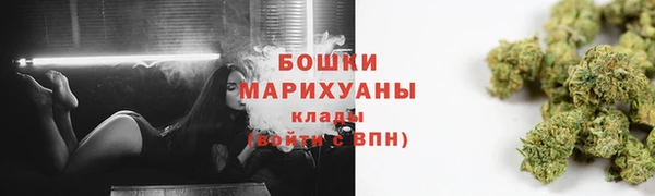 дмт Богородск