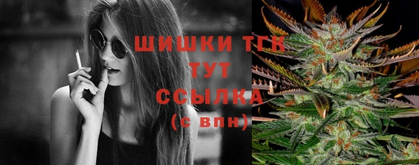 дмт Богородск