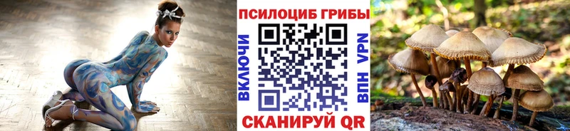 KRAKEN ССЫЛКА  Среднеуральск  Псилоцибиновые грибы прущие грибы  купить наркоту 