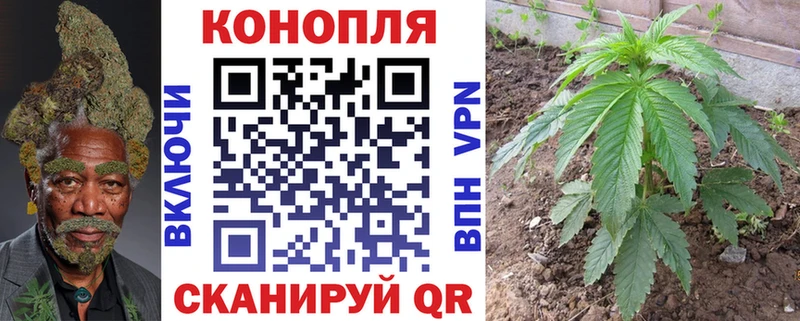 купить   Среднеуральск  Шишки марихуана Amnesia 